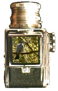 Click here for info on russian cameras
